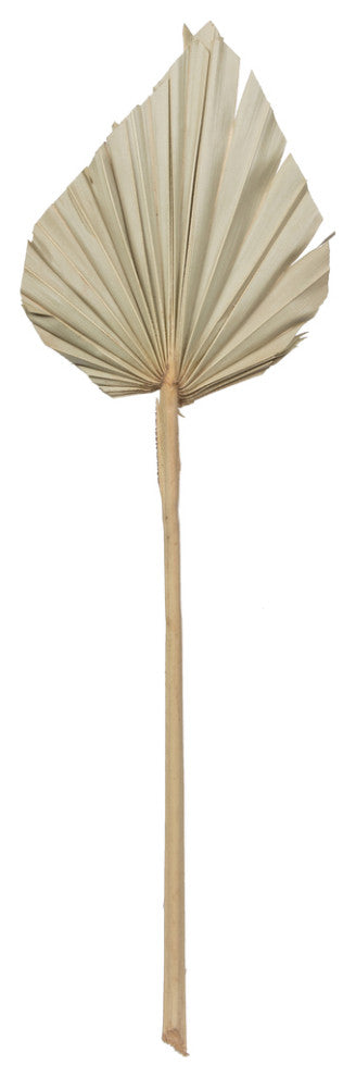 Vickerman Natural Botanicals 20" Palm Spear, Natural. 50 pieces per Pack.