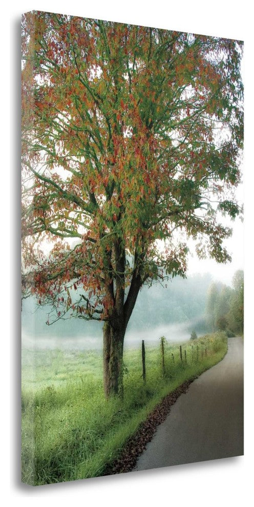 "Almost Autumn" By D. Burt, Giclee Print on Gallery Wrap Canvas, Ready to Hang