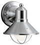 Outdoor Wall 1-Light, Brushed Nickel