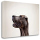 "Pelei In Profile" By Susan Sabo, Giclee Print on Gallery Wrap Canvas