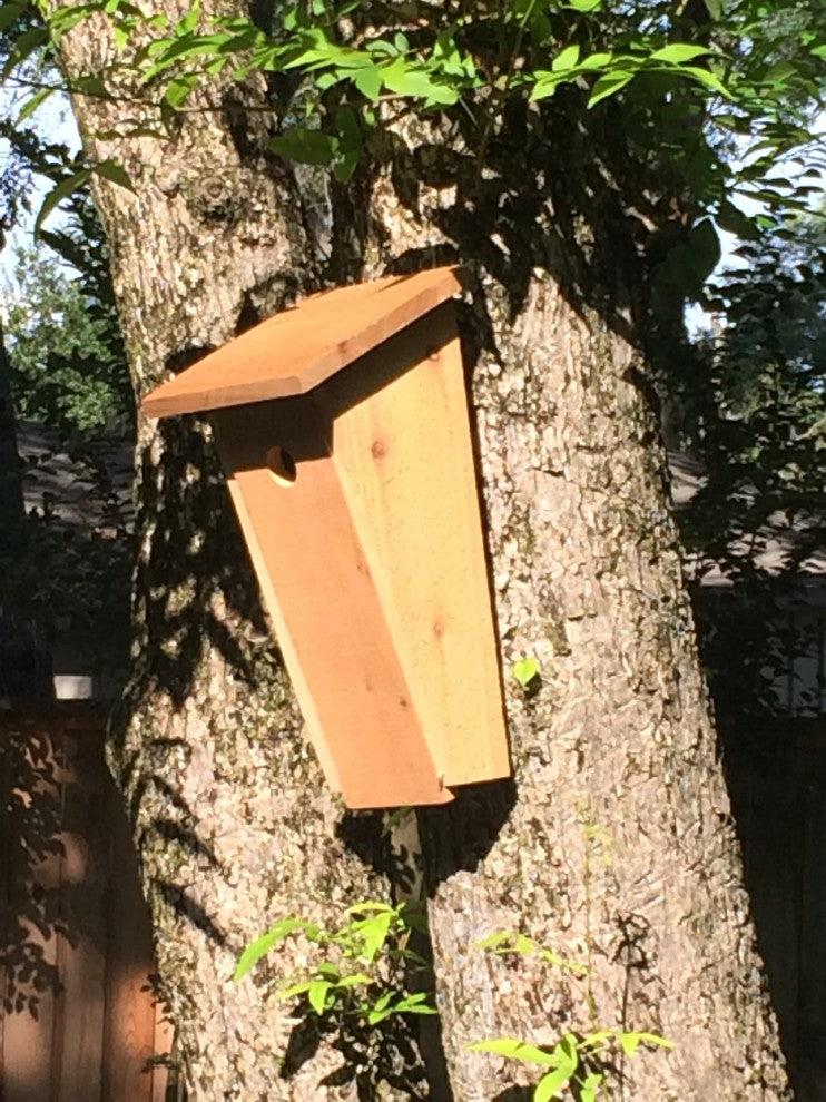 Angled Design Bird House