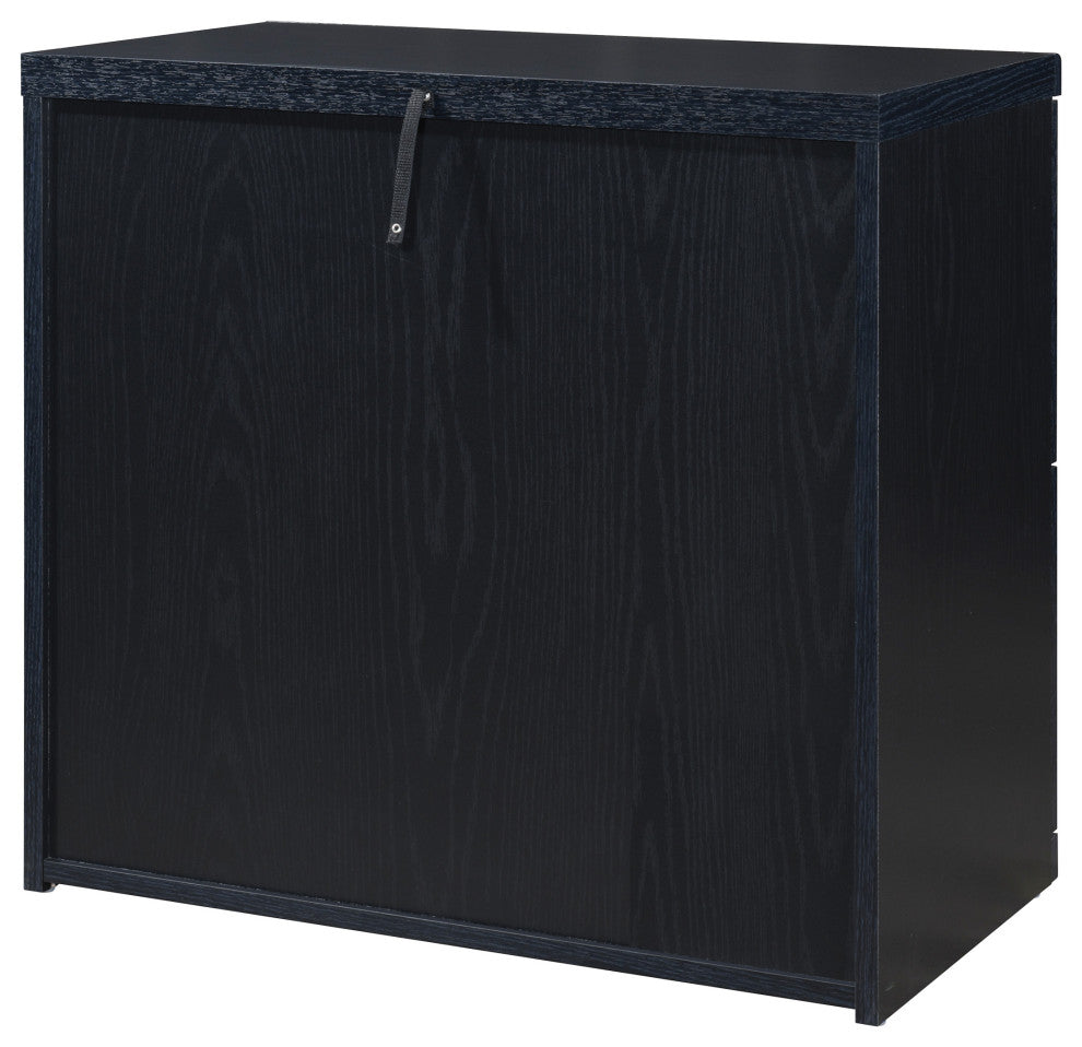 Alpine 2-Drawer Lateral File With Lockdowel Fastening System, Black Finish
