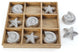 Shelled Tic Tac Toe