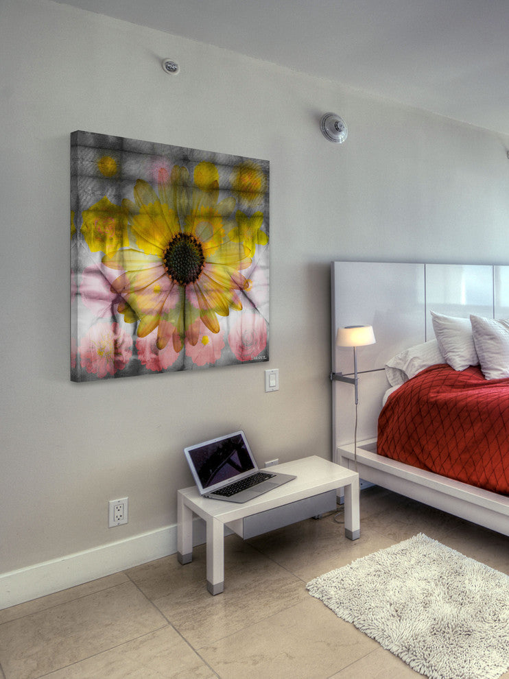 "Pink and Yellow Sunflower" Fine Art Canvas Print, 24"x24"