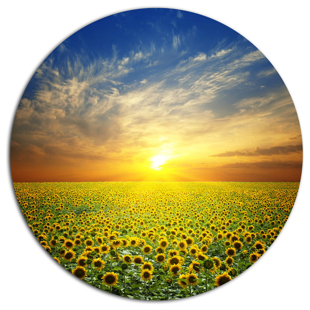 Beauty Sunset Over Sunflowers Field, Floral Round Wall Art, 36"