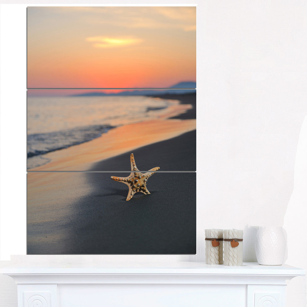 "Summer Beach With Starfish" and Shore Canvas Art Print, 3 Panels, 28"x36"