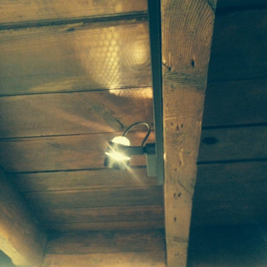 WAC Lighting Low Voltage Track Fixture, 75W, Black, L Track