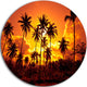 Coconut Palms Against Yellow Sky, Landscape Disc Metal Wall Art, 23"