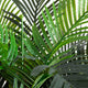 7ft. Artificial Coconut Palm Tree
