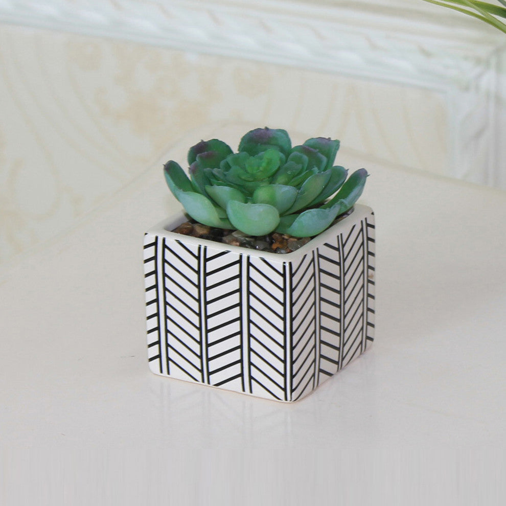 2-Piece Succulent, Tribal White Ceramic Pot Set, 4"