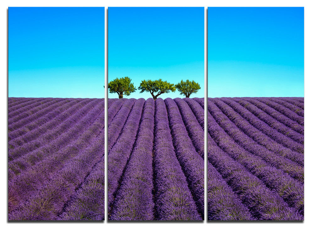 "Lavender Flowers and Uphill Green Trees" Metal Wall Art, 3 Panels, 36"x28"