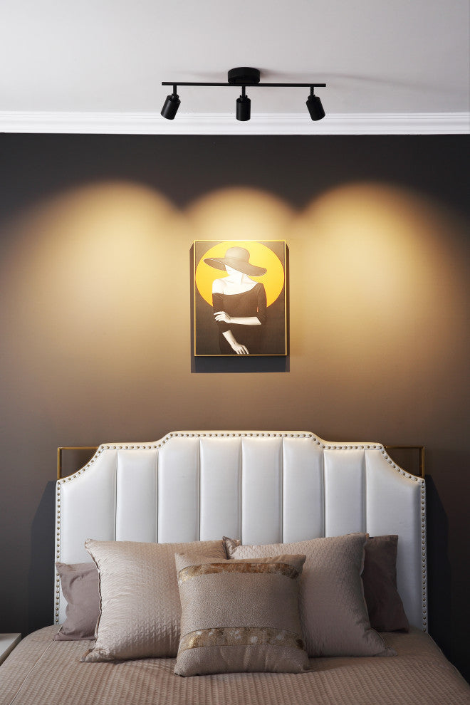 Vidalite Shura 3 Head LED Flush Mount FIxed Track Light, Black