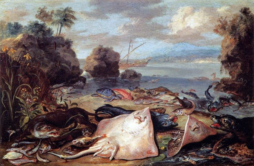 Jan Van I Kessel The Day's Catch - 18" x 27" Premium Canvas Print