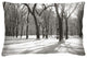Forest for the Trees Pillow, The Winter Park Collection
