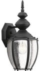 Progress Lighting 1-Light Wall Lantern With Clear Seeded Glass Curved, Black