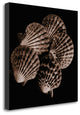 "Cinq Eventails" By Michael Faragher, Giclee Print on Gallery Wrap Canvas