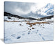"Snow Mountains in Kosciuszko Park" Landscape Art Print Canvas, 20"x12"
