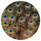 Peacock Bird Tail Feathers In Close-Up, Animal Round Metal Artwork, 36"