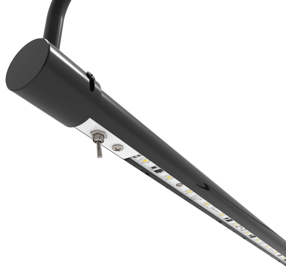 Cocoweb Slim Line LED Picture Lights, Dimmable, Plug-In, Black, 16"