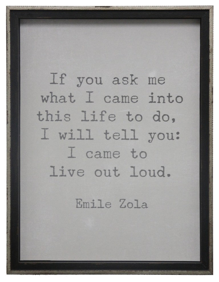 Zola Quote, Underwood On Gray Background