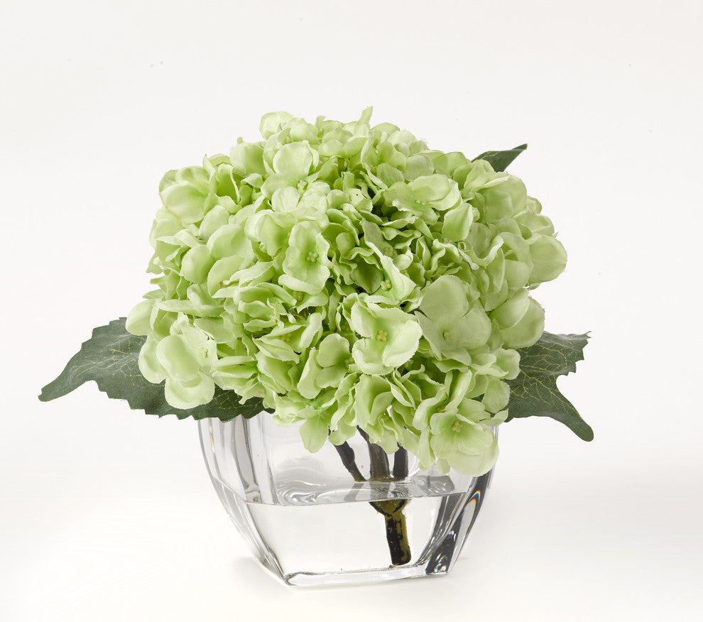 Pale green hydrangea in glass cube