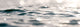 Peaking Ripples Fine Art Photography Print, 12"x36", Aluminum Print