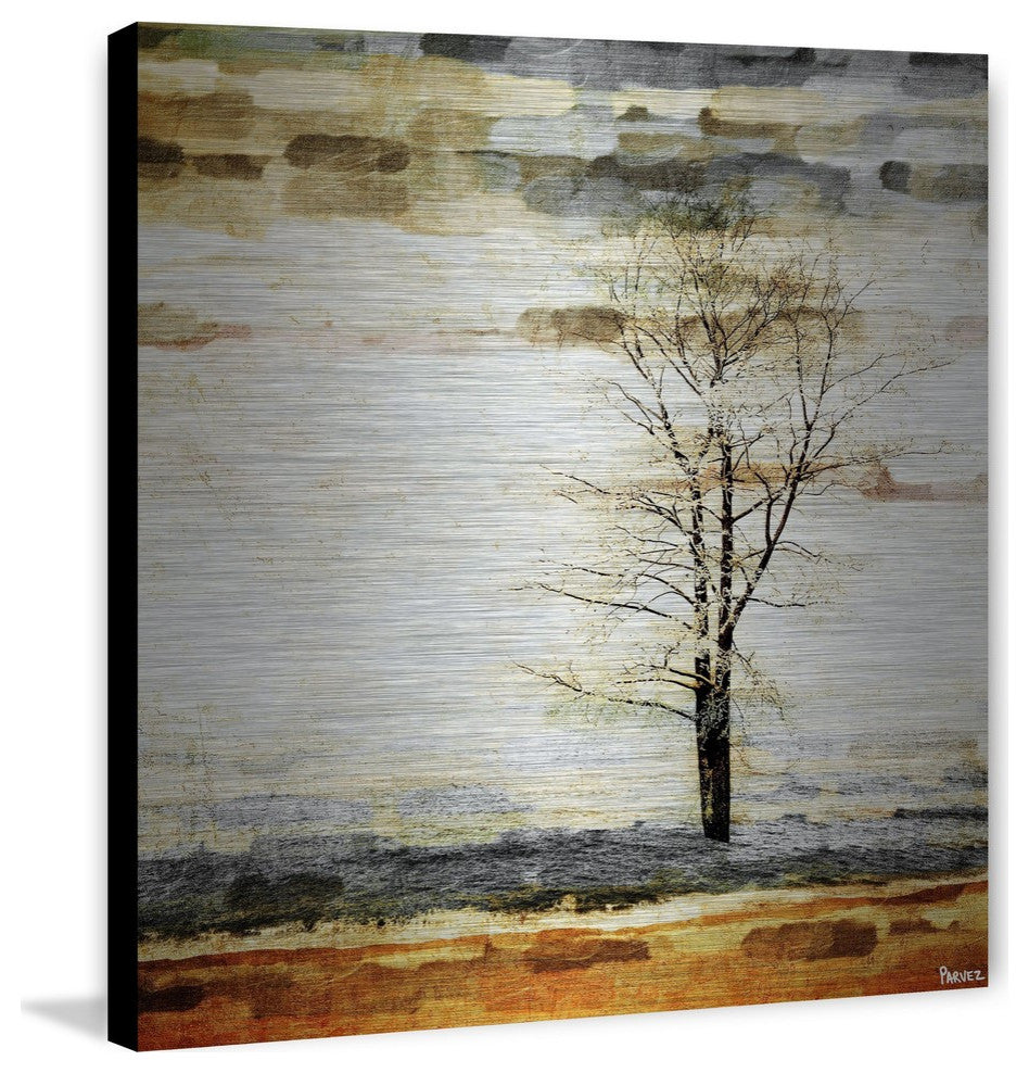 "Lone Tree" Print on Brushed Aluminum, 24"x24"