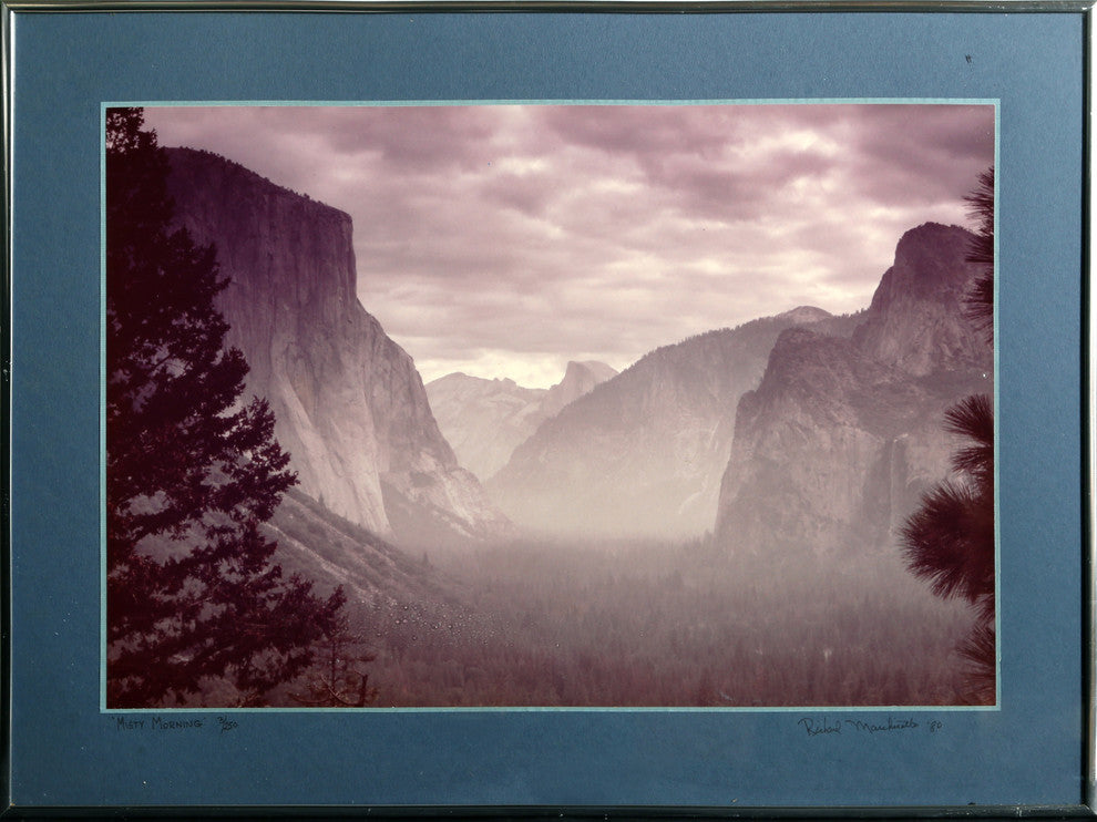 "Misty Morning" Artwork