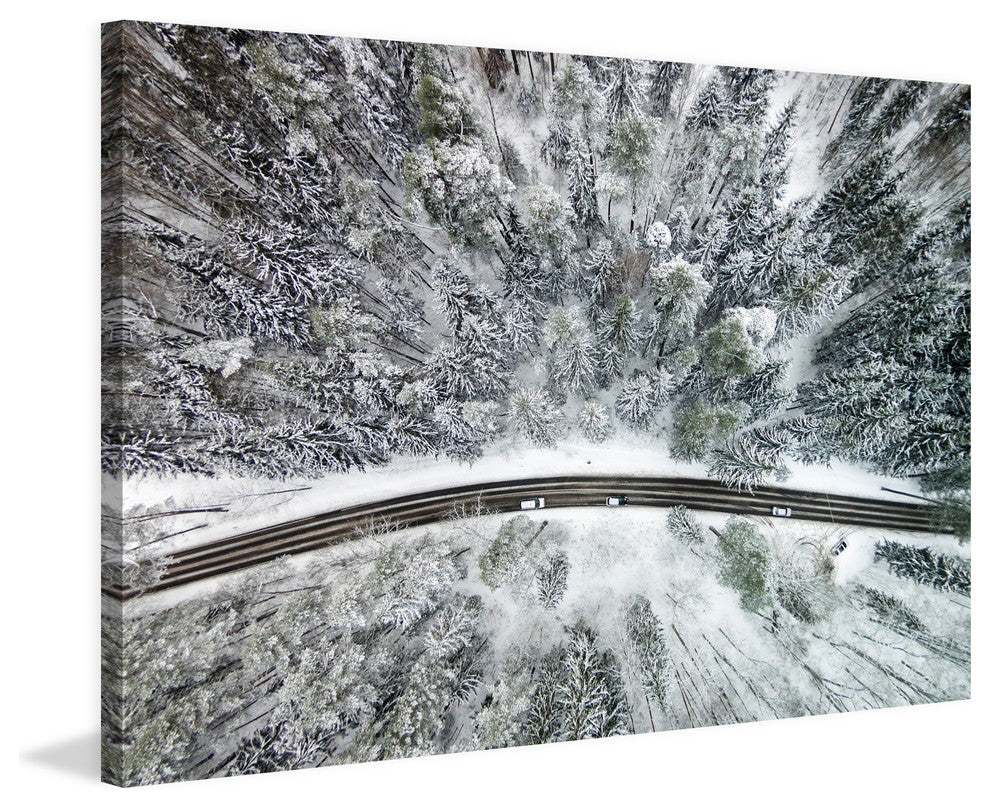 "Icy Firs" Print on Canvas by Karolis Janulis