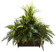Mixed Grass and River Fern With Wood Planter, Green