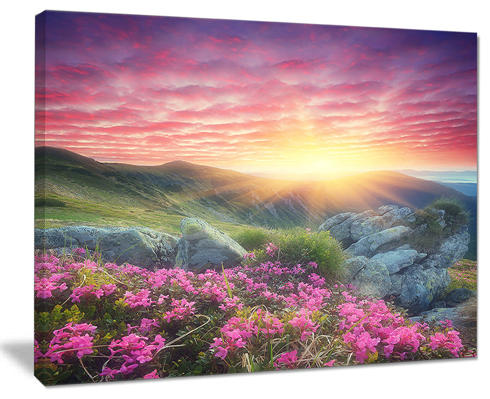 "Morning With Flowers in Mountains" Landscape Canvas Photo Print, 20"x12"