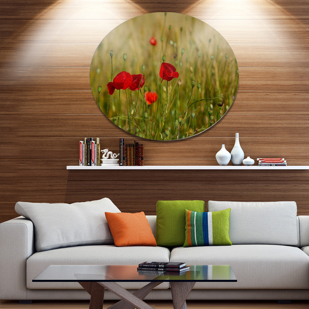 Red Poppy Flower Field Background, Flower Round Wall Art, 36"
