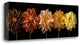 "Floral Salute" By Assaf Frank,Ready to Hang Giclee Print on Gallery Wrap Canvas
