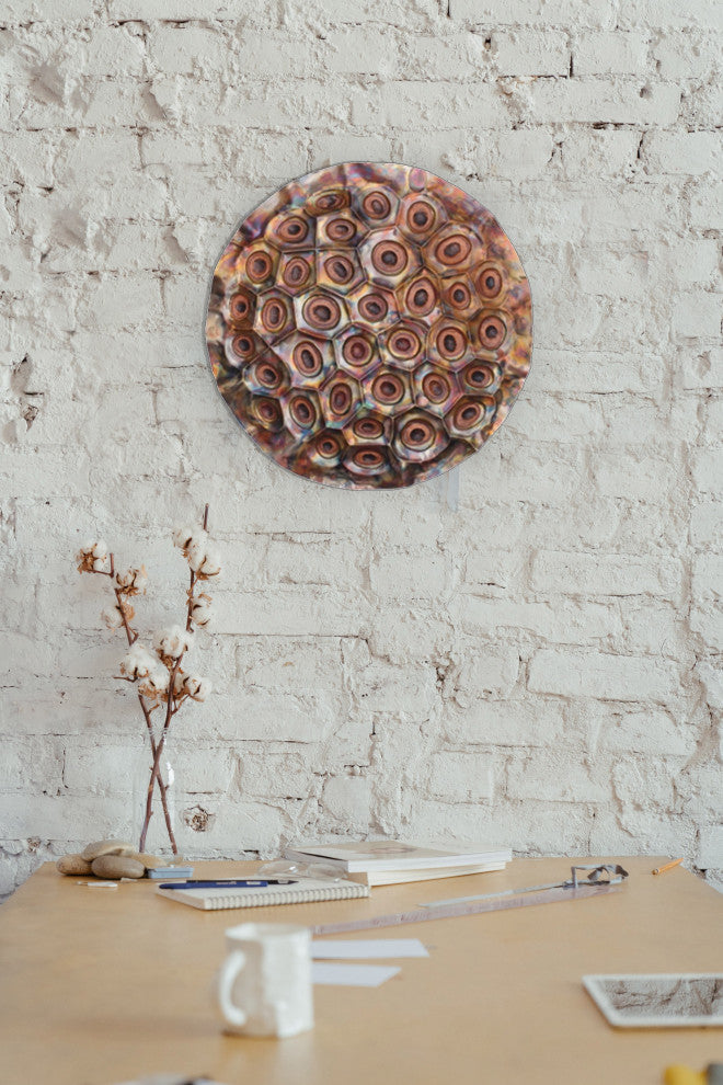 Lotus Fruit Wall Mountable Original Artwork