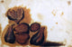 Simone Peterzano StillLife of Figs Premium Canvas Print