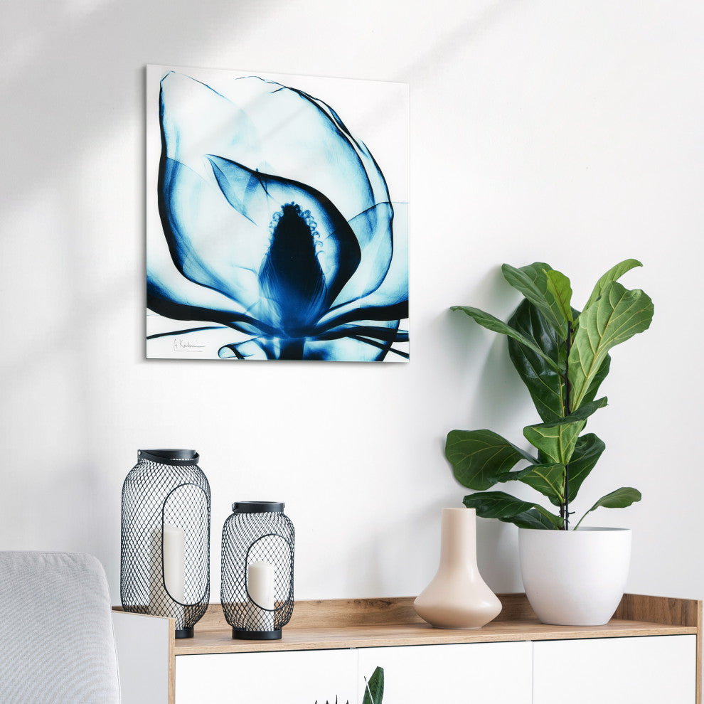 Blue Magnolia X-Ray Flower Wall Art Frameless Free Floating Tempered Glass Panel
