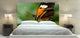 "Butterfly" Headboard