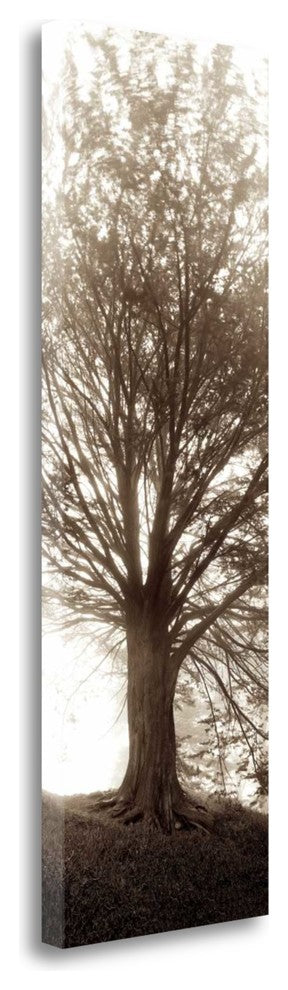 "Hampton Gates Tree No.1" By Alan Blaustein, Giclee Print on Gallery Wrap Canvas