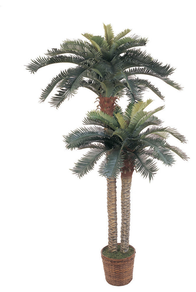 6' and 4' Sago Palm Double Potted Silk Tree