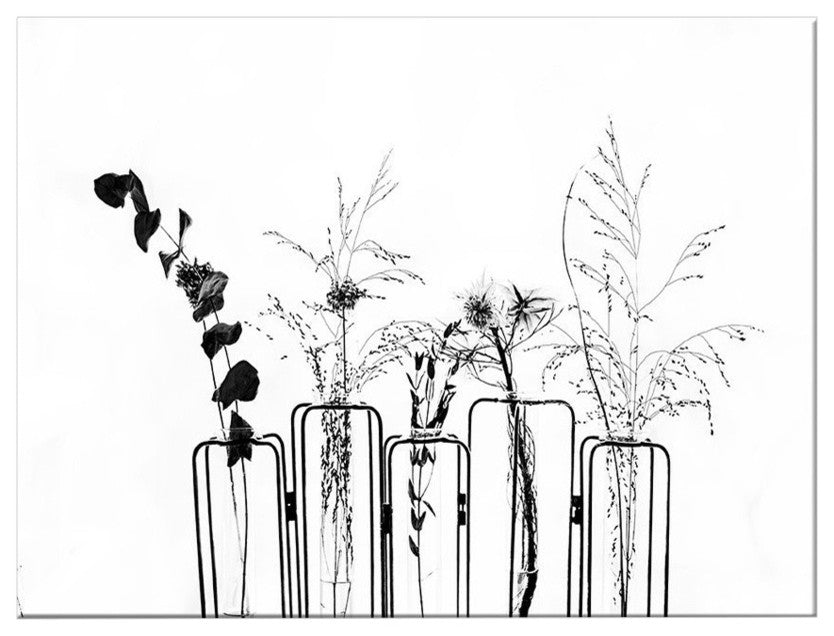 Black Flowers on White Background' Canvas Wall Decor