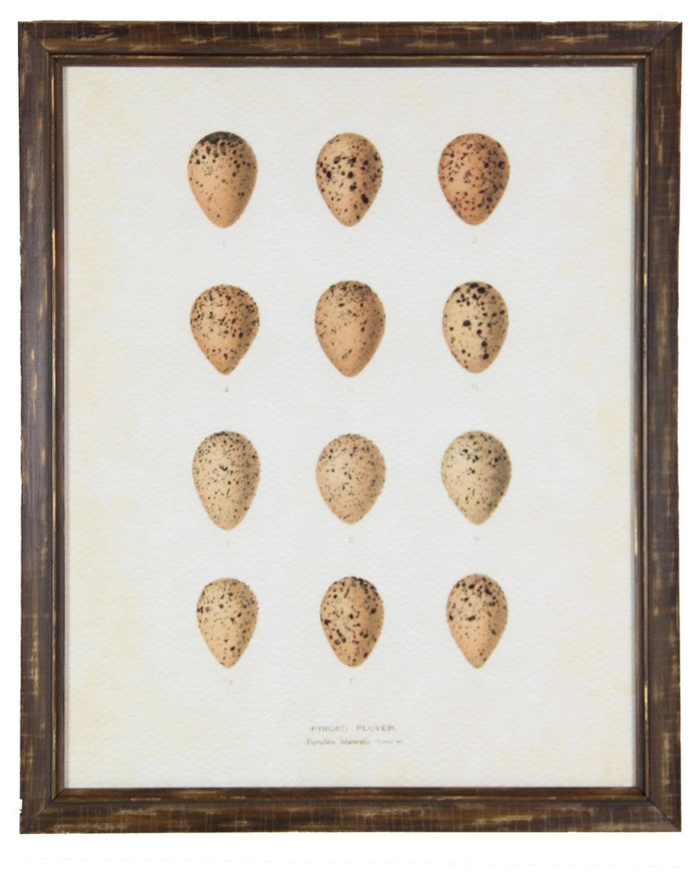 Bird Egg Print, Brown, Distressed Brown Frame