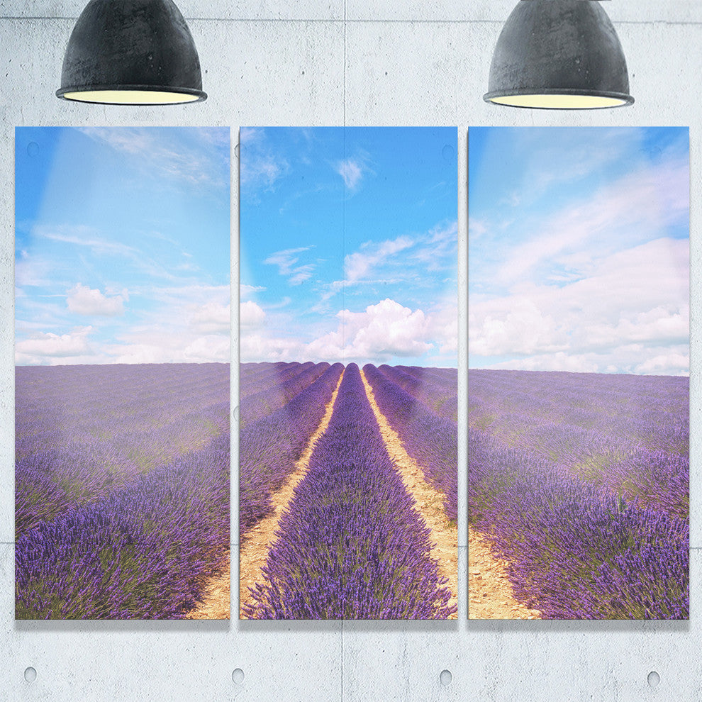 "Blooming Lavender Flower Field" Metal Wall Art, 3 Panels, 36"x28"