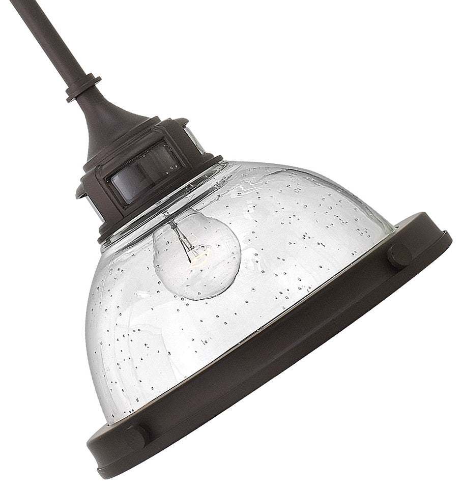 Hinkley Amelia Small Pendant, Buckeye Bronze