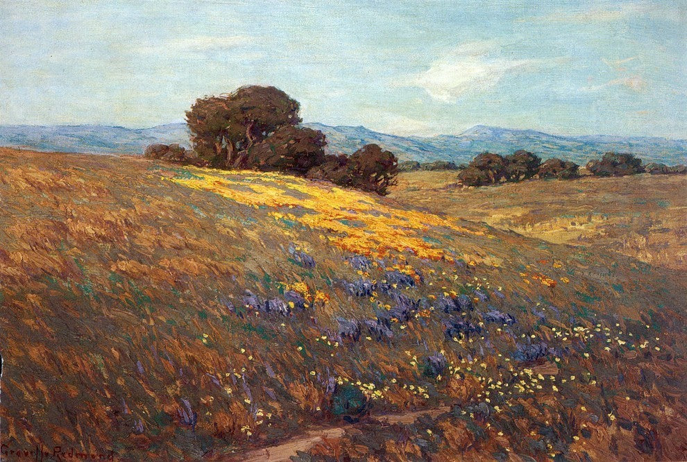 Granville Redmond Poppies and Lupines Premium Canvas Print