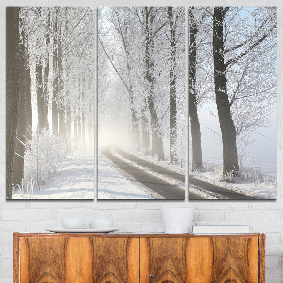 "Winter Lane in Foggy Morning" Photo Wall Art, 3 Panels, 36"x28"