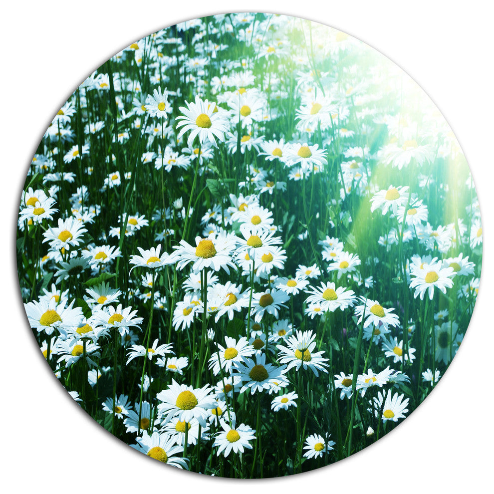 Sunny Garden With Cute White Flowers, Flower Disc Metal Wall Art, 36"