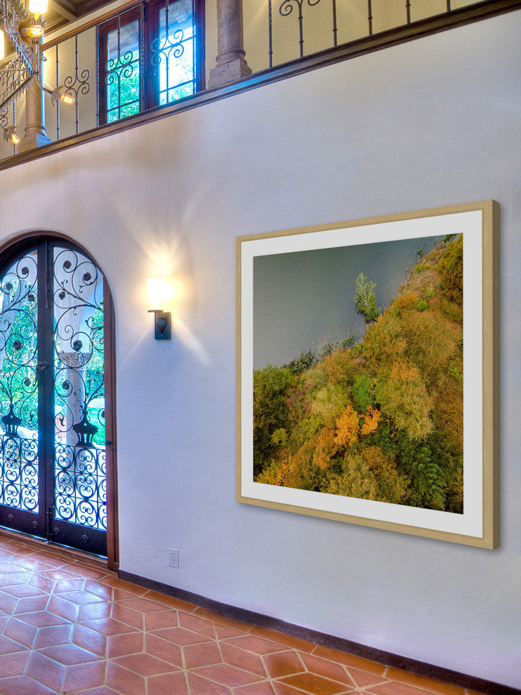 "Plant Wall" Framed Print by Karolis Janulis