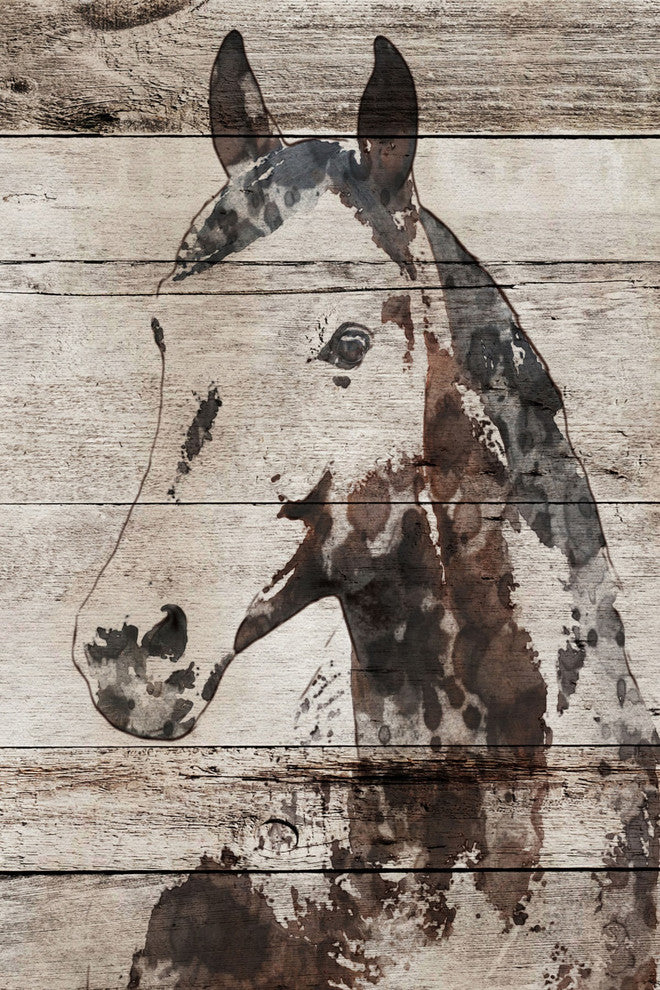 "Picolino Horse" by Irena Orlov Painting Print Wrapped Canvas, 12x18