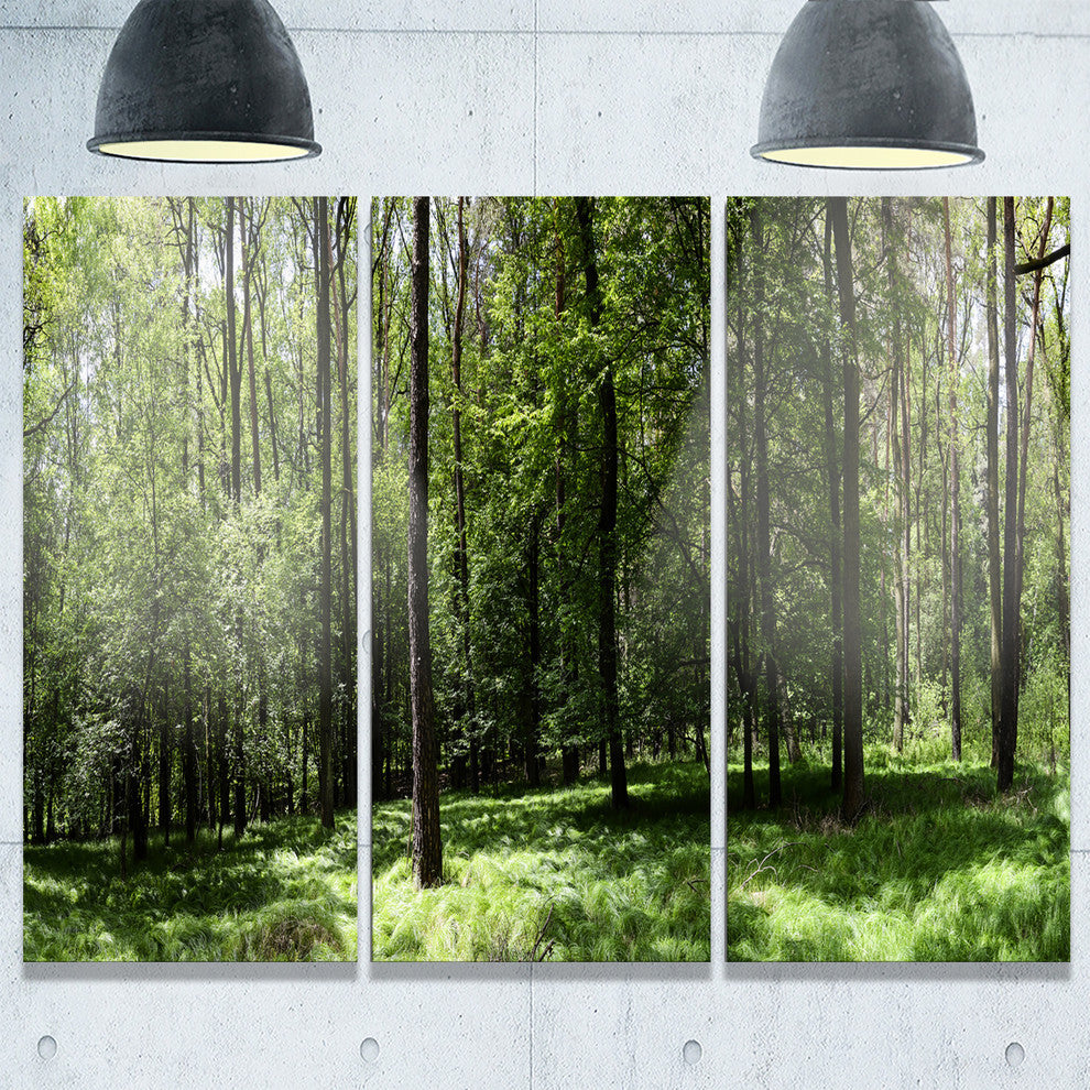 "Wild Green Forest Panorama" Oversized Forest Metal Wall Art, 3 Panels, 36"x28"