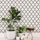 Moroccan Peel and Stick Vinyl Wallpaper, Off White Brown, 24" X 60"